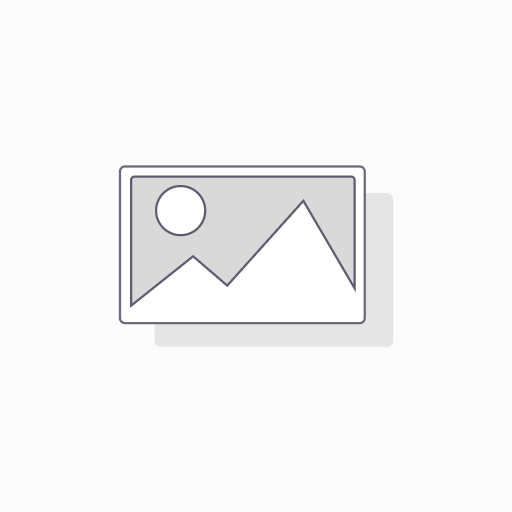 AI Operations Audit